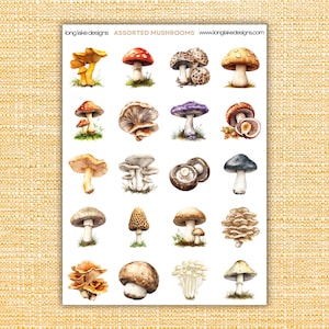 Assorted Mushrooms Sticker Sheet, Waterproof Vinyl Laminated 20pcs, Perfect for Planners, Journals & Nature Lover Gifts