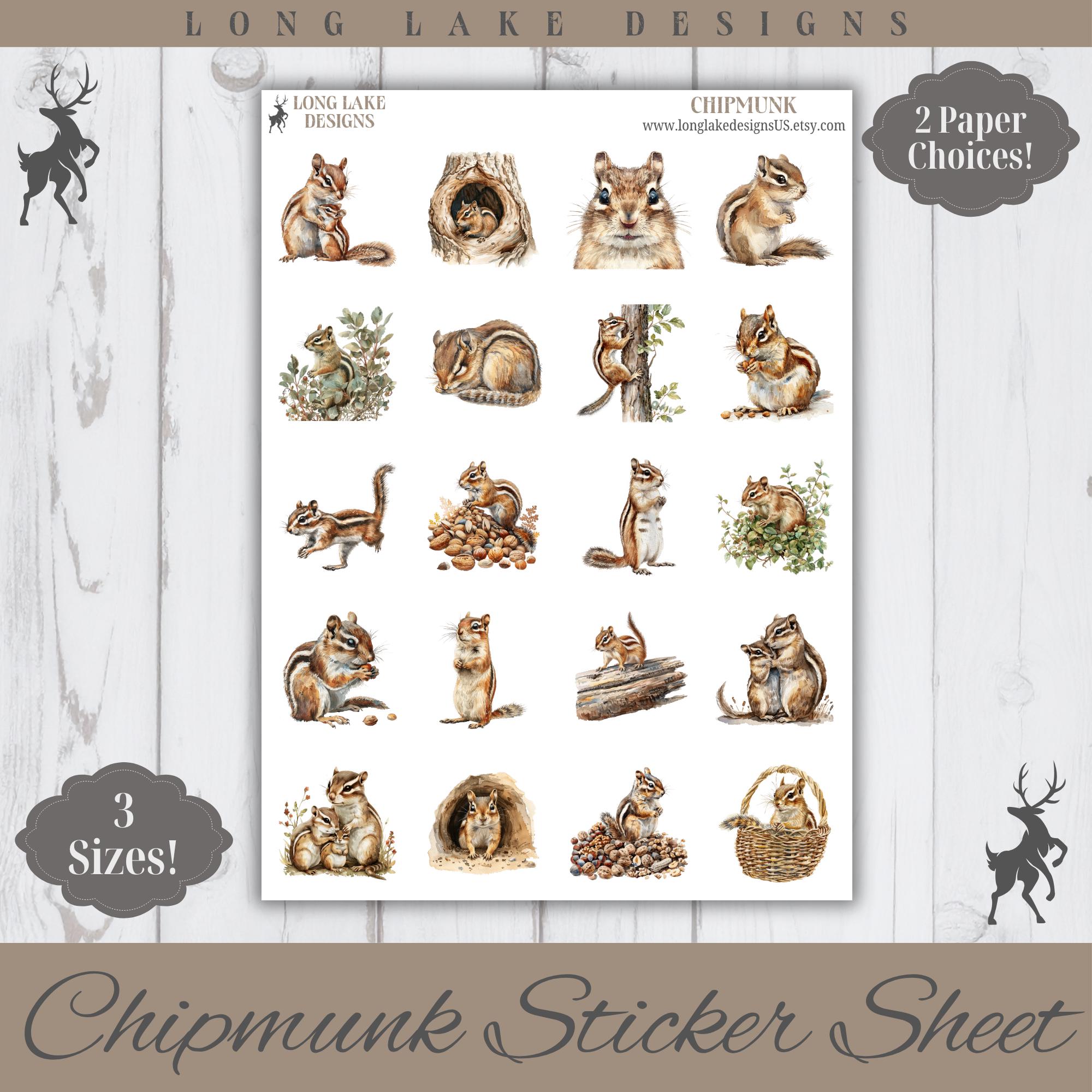 Chipmunk Sticker Chipmunk Sticker Sheet, 20 Animal Weatherproof Stickers - Etsy