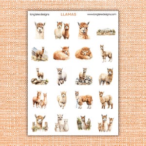 Llama Sticker Sheet, laminated durable vinyl, ideal for decorating laptops and journals, whimsical gift for llama fans