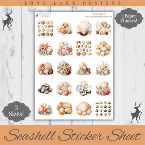 May include: A sticker sheet titled Long Lake Designs Seashell featuring various illustrations of seashells and starfish in shades of beige, brown, and white. The sheet includes multiple groupings of shells and individual shell designs on a white background.