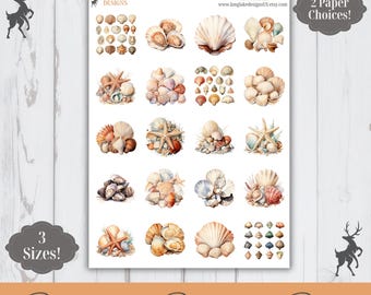 Seashell Sticker Sheet, 20 Beach Weatherproof Stickers, 3 Sizes, 2 Paper Choices, Option to Laminate