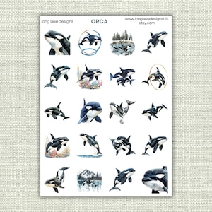 Orca Sticker Sheet - Waterproof Vinyl, Durable Ocean Animal Stickers, Perfect for Planners or Gifting to Ocean Lovers