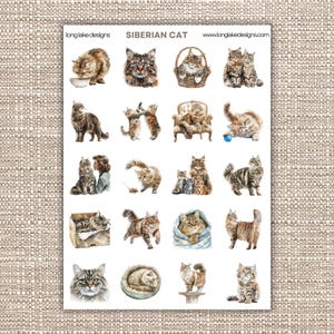 Feuille d'autocollants chat sibérien, vinyle imperméable laminé 20 stickers chats mignons, parfait pour les ordinateurs portables, journaux et cadeau pour les amoureux des chats