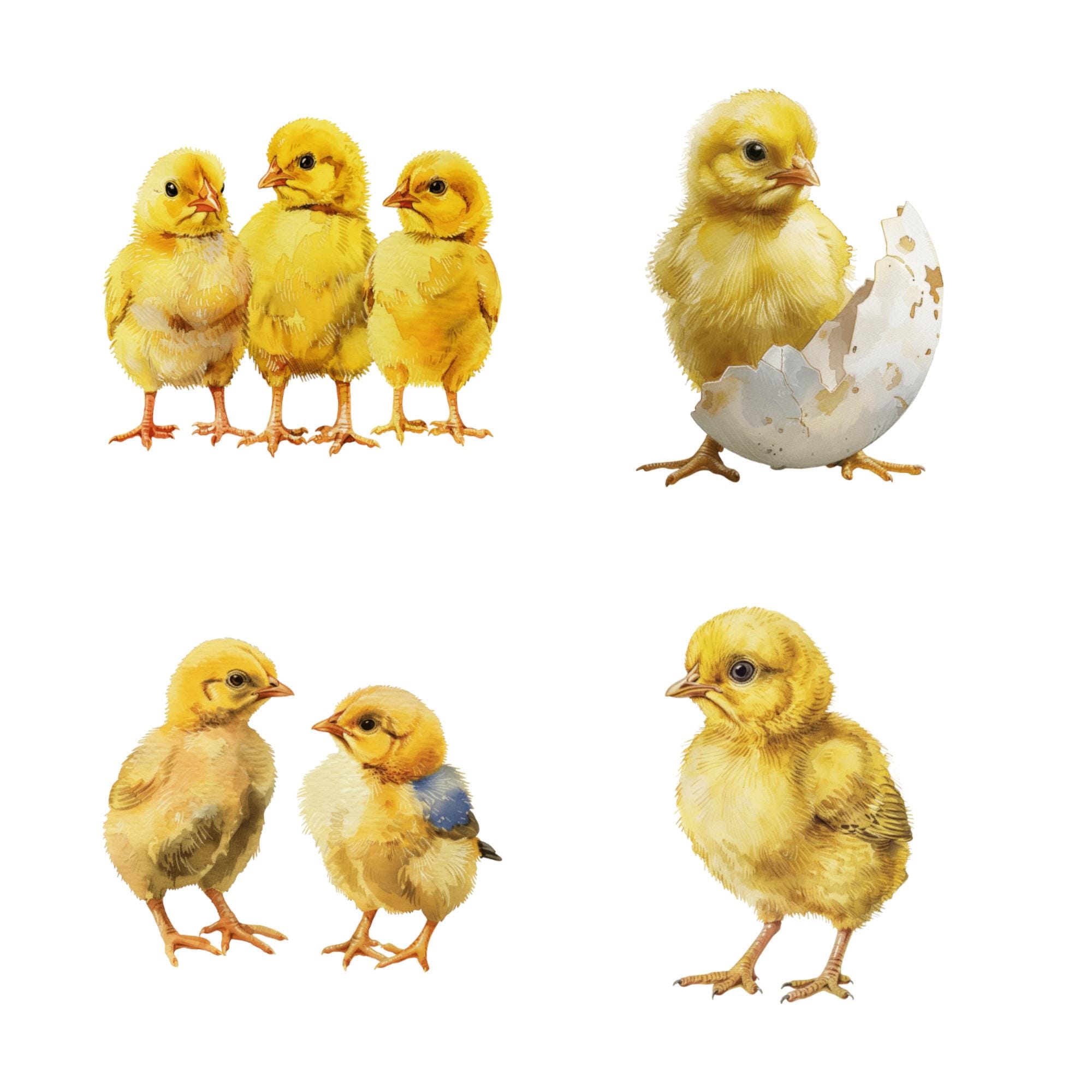 Yellow Chicks Sticker Sheet, Laminated Durable Stickers for Planners ...