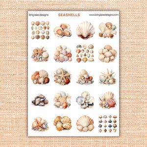 May include: A sheet of 16 watercolor illustrations of seashells. The illustrations are arranged in a grid of four rows and four columns. Each illustration features a different arrangement of seashells, some with starfish. The title "SEASHELLS" is at the top of the sheet.