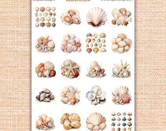 Seashell Sticker Sheet, Laminated Weatherproof  Stickers for Scrapbooking, Journals & Crafts, Perfect Gift for Beach Lovers
