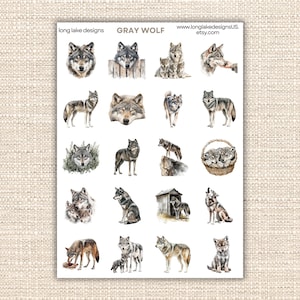 Puede incluir: Una hoja de pegatinas con ilustraciones de acuarela de lobos grises en varias poses. Las pegatinas incluyen imágenes de caras de lobos, retratos de cuerpo entero y lobos con sus cachorros. El texto "GRAY WOLF" está en la parte superior.