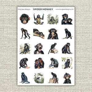 Foglio di adesivi a forma di scimmia ragno, 20 adesivi in vinile impermeabile e resistente per scrapbooking e regali, simpatici adesivi a forma di animale per gli amanti della natura.