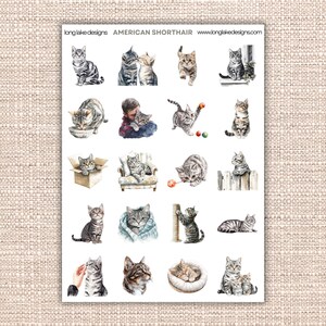 American Shorthair Cat Sticker Sheet, Waterproof Vinyl Cute Kitty Decals for Laptops & Journals, Perfect Gift for Cat Lovers