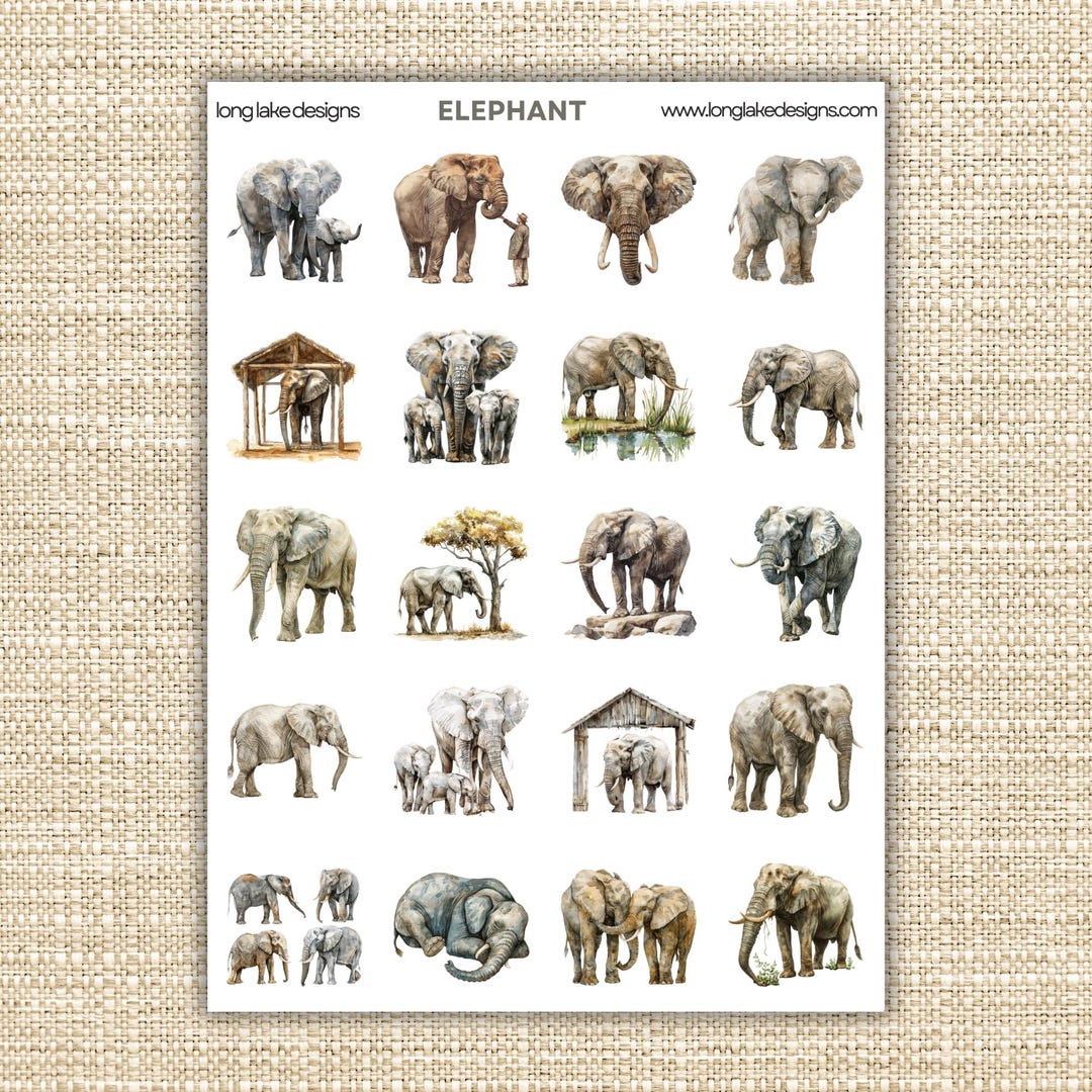 Elephant Sticker Sheet, 20 Weatherproof Stickers in 3 Sizes, Durable ...