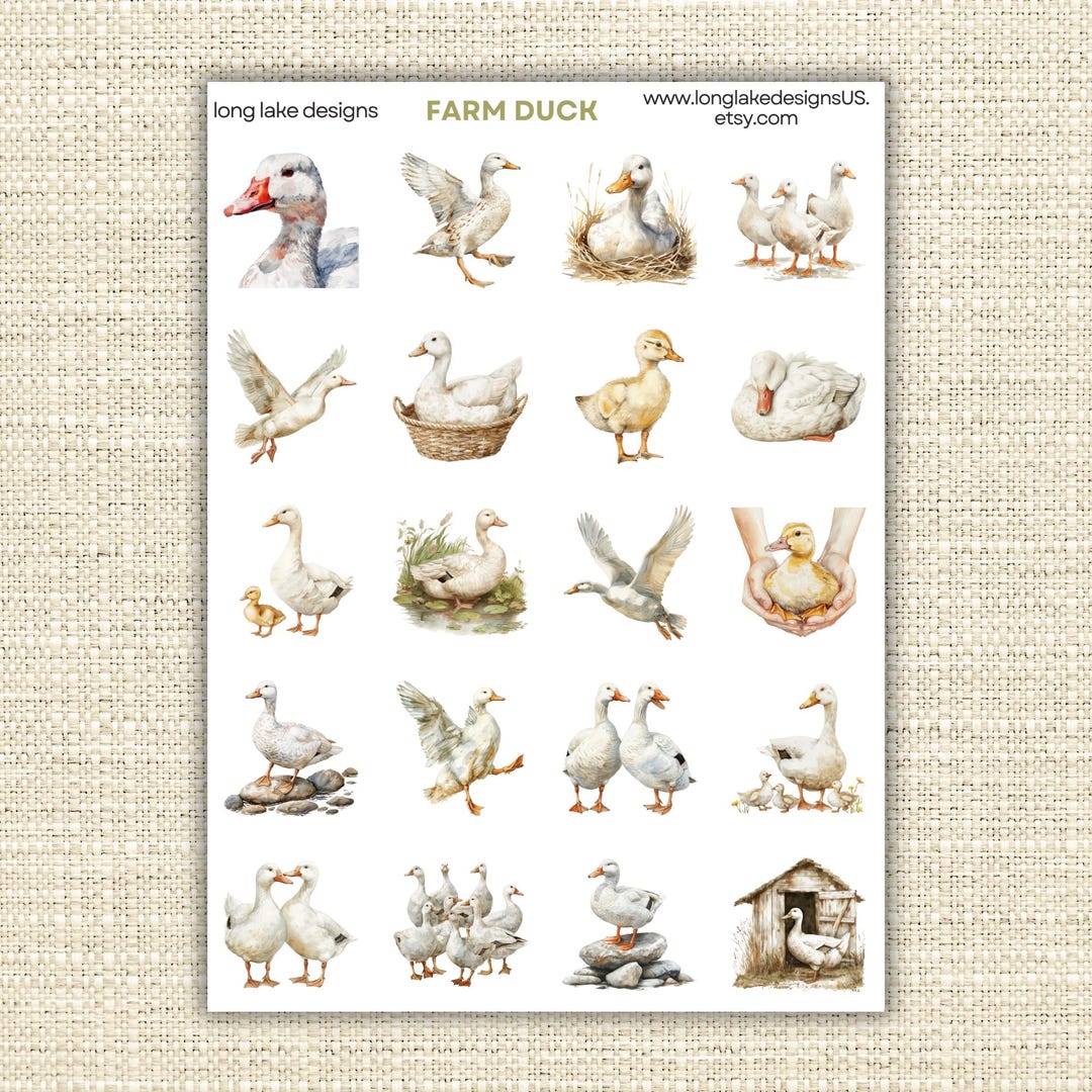 Farm Duck Sticker Sheet, Durable Laminated Weatherproof , Adorable Farm ...