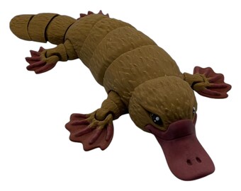 Movable XXL platypus, 25 cm long. Movable children's toy from the 3D printer for playing. Realistic animal - platypus.