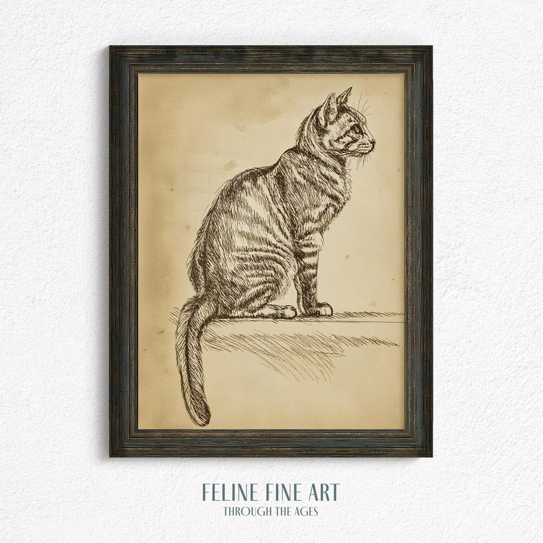 Vintage Cat Sketch – Tabby Cat Wall Art Print – Feline Ink Drawing in ...