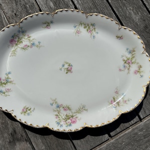 Theodore Haviland Limoges, France Platter for Geo Millar Co Scranton, PA