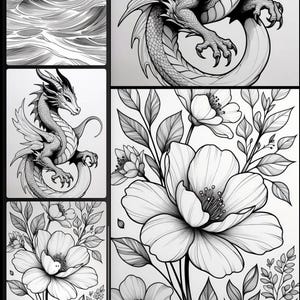 May include: Black and white illustrations of various subjects. One depicts stylized ocean waves. Another shows a dragon with detailed scales and wings. Floral designs with large, open blooms and detailed leaves are also featured.