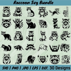 Raccoon Svg Bundle, Raccoon Head SVG, Raccoon Png, Clipart Raccoon, Raccoon Cut File, Charming Raccoon, Raccoon Lovers Svg, Instant Download