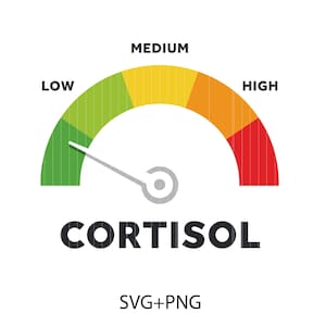 Könnte beinhalten: Ein Cortisol-Pegel-Messgerät mit einer Nadel, die auf den Bereich „Niedrig“ zeigt. Das Messgerät ist in grüne, gelbe, orange und rote Bereiche unterteilt, die mit „Niedrig“, „Mittel“ und „Hoch“ beschriftet sind. Das Wort „CORTISOL“ wird darunter angezeigt.