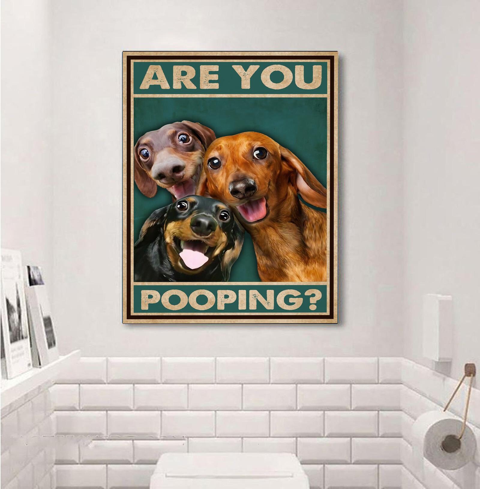 Why Does My Dog Poop Against The Wall