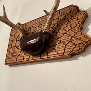 Pennsylvania Wood plaque