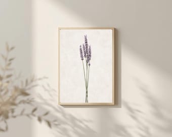 Lámina botánica de lavanda, arte mural floral minimalista (descarga digital)