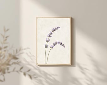 Lámina botánica Lavanda Calma, Arte mural floral curvo (Descarga digital)