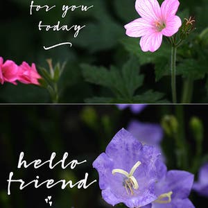 Purple Floral Encouraging Quote Cards Inspirational Friendship Bible Verse Printable image 3