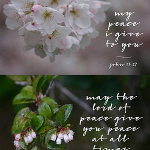 Floral Printable Scripture Cards for Christian Planners and Bible Journaling image 4