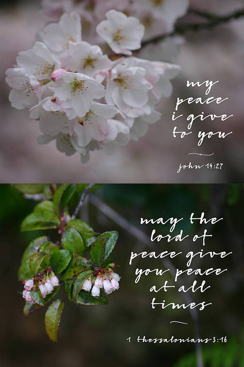 Floral Printable Scripture Cards for Christian Planners and Bible Journaling image 4