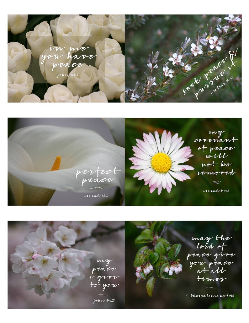 Floral Printable Scripture Cards for Christian Planners and Bible Journaling image 1