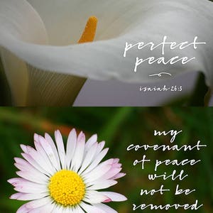 Floral Printable Scripture Cards for Christian Planners and Bible Journaling image 3