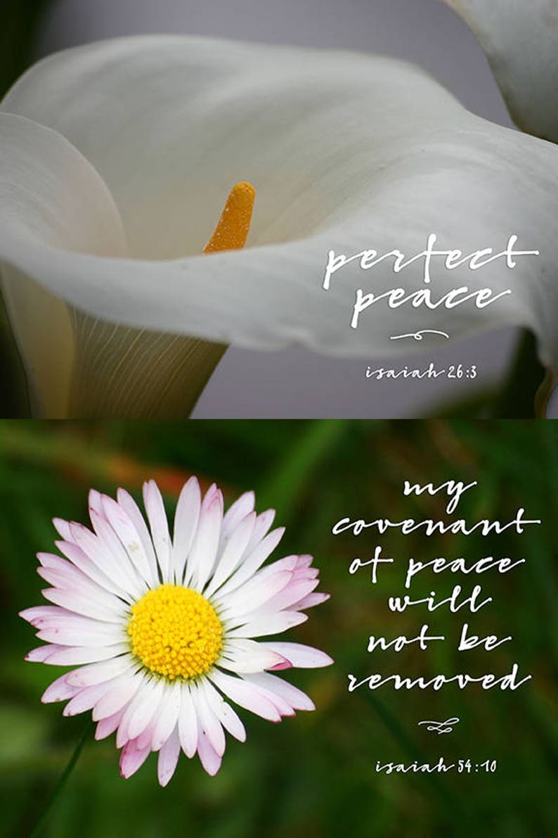 Floral Printable Scripture Cards for Christian Planners and Bible Journaling image 3