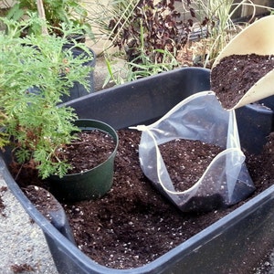 May include: A black plastic planter filled with dark brown soil. A person is adding more soil from a white scoop into a clear plastic bag inside the planter.