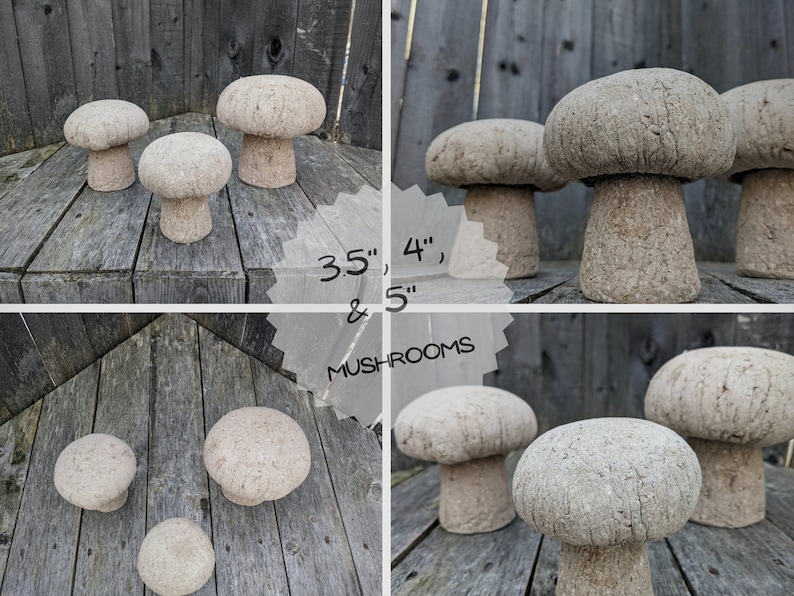 Pu&ograve; includere: Set di quattro decorazioni da giardino in cemento a forma di fungo di diverse dimensioni, 3,5", 4" e 5" di altezza. I funghi sono di colore beige chiaro e hanno una superficie testurizzata.