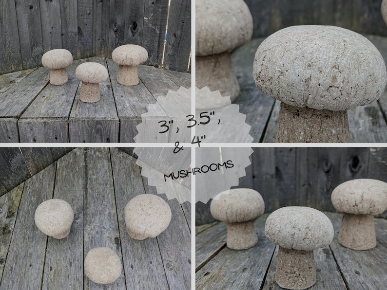 Pu&ograve; includere: Tre statue da giardino a forma di fungo in cemento di diverse dimensioni: 7,6 cm, 8,9 cm e 10,2 cm. I funghi sono di colore marrone chiaro e hanno una texture ruvida.