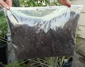 1 Gallon PREMIUM Succulent Soil Potting Mix | Grow Transplant Garden | For Indoor & Outdoor Plants | Containers Cactus Flowers Herbs... More