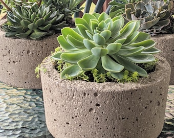 Simple Hypertufa Pot | Minimalist Design | Succulent Herb Flower Planter | Handmade Lightweight Concrete Outdoor Container | Gardening Gift