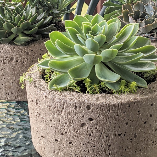 Simple Hypertufa Pot | Minimalist Design | Succulent Herb Flower Planter | Handmade Lightweight Concrete Outdoor Container | Gardening Gift