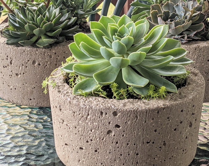 Simple Hypertufa Pot | Minimalist Design | Succulent Herb Flower Planter | Handmade Lightweight Concrete Outdoor Container | Gardening Gift