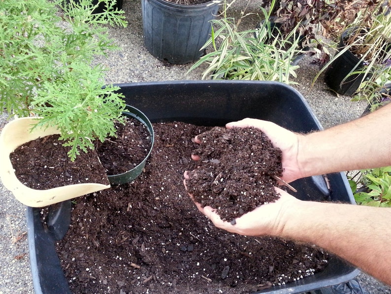 May include: A person is scooping dark brown potting soil into a black plastic container. The soil is loose and crumbly, and there are small white granules mixed in.