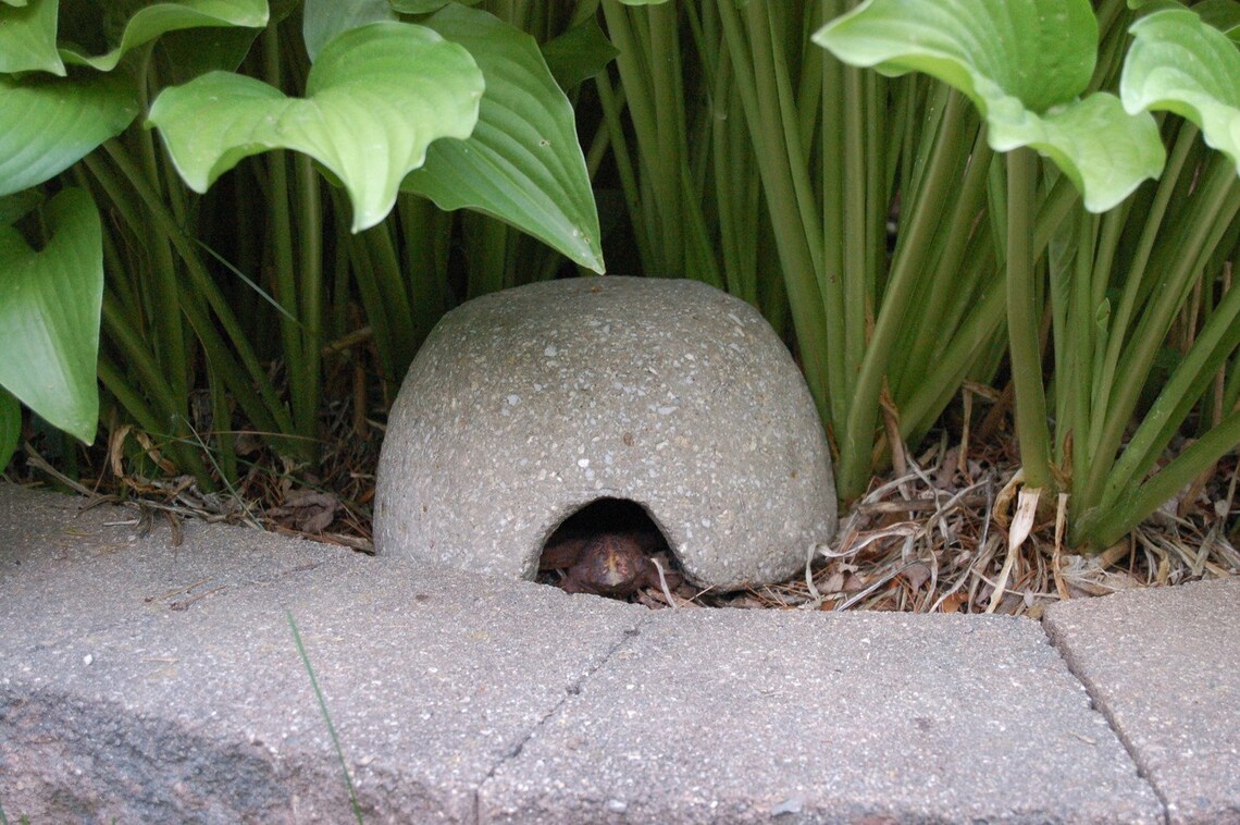 Hypertufa Toad House 4 Sizes Available Handmade Garden Art Etsy