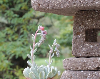 Hypertufa Garden Lantern 3 Sizes | Square Japanese Lantern | Taupe