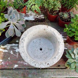 May include: A gray concrete planter with a rough texture and a drainage hole in the bottom. The planter is surrounded by various succulents in terracotta pots.