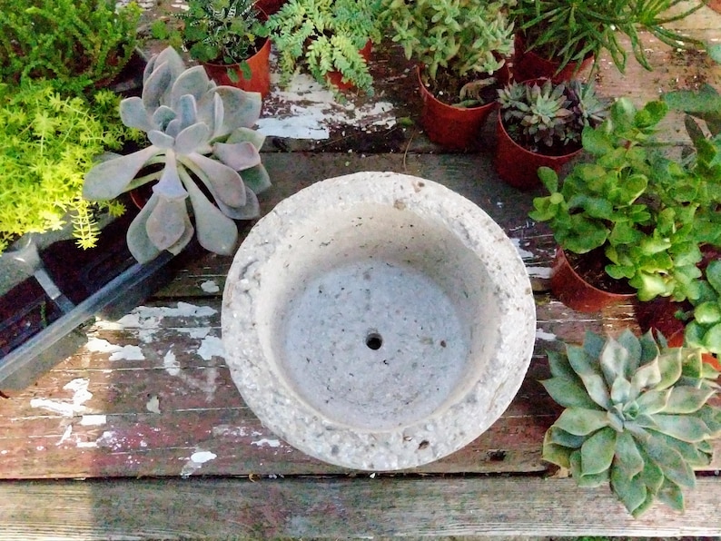 May include: A gray concrete planter with a rough texture and a drainage hole in the bottom. The planter is surrounded by various succulents in terracotta pots.