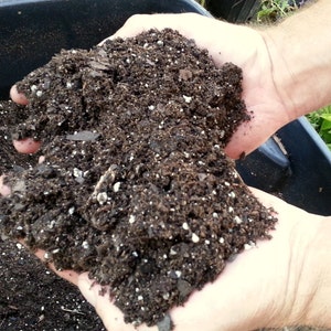 May include: Close-up of a person's hands holding a handful of dark brown potting soil with small white particles mixed in.