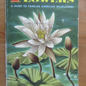 Flowers- A Guide to Familiar American Wildflowers