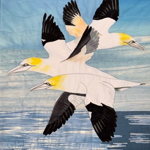 Gannets in Flight, blank Art card