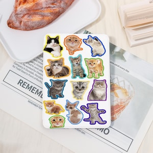 Cute Cats Animal Party Kindle Case With/No Hand Strap For Kindle Paperwhite 12th/11th,Custom Kindle 2022/2024,Colorsoft Case,Custom Gifts
