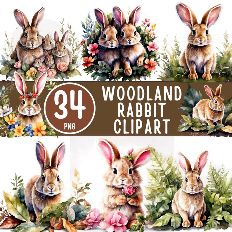 Woodland Rabbit Clipart Bundle, 34 PNG Forest Bunny Art (digital ...