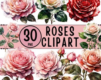 Clipart z akwarelowymi różami – 30 klasycznych obrazów kwiatowo-botanicznych w formacie PNG (do pobrania cyfrowego)