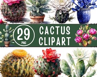 Cactus Clipart PNG Bundle - 29 Watercolor Cactus & Succulent Illustrations (Digital Download)